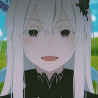 Echidna
