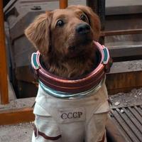 宇宙飞船