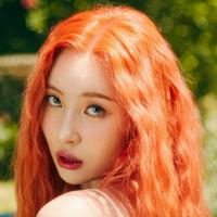 mbti 百科(宣美)头像