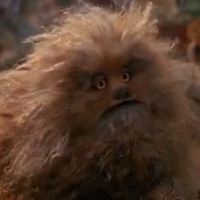 Fizzgig