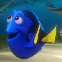 Dory