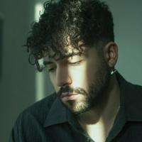 Shervin Hajipour
